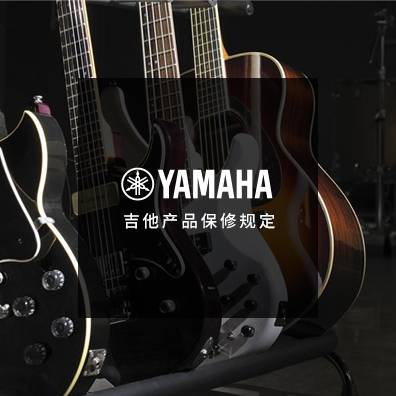 吉他、贝斯和音箱